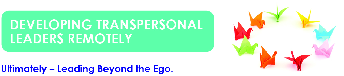 Developing Transpersonal Leaders Remotely